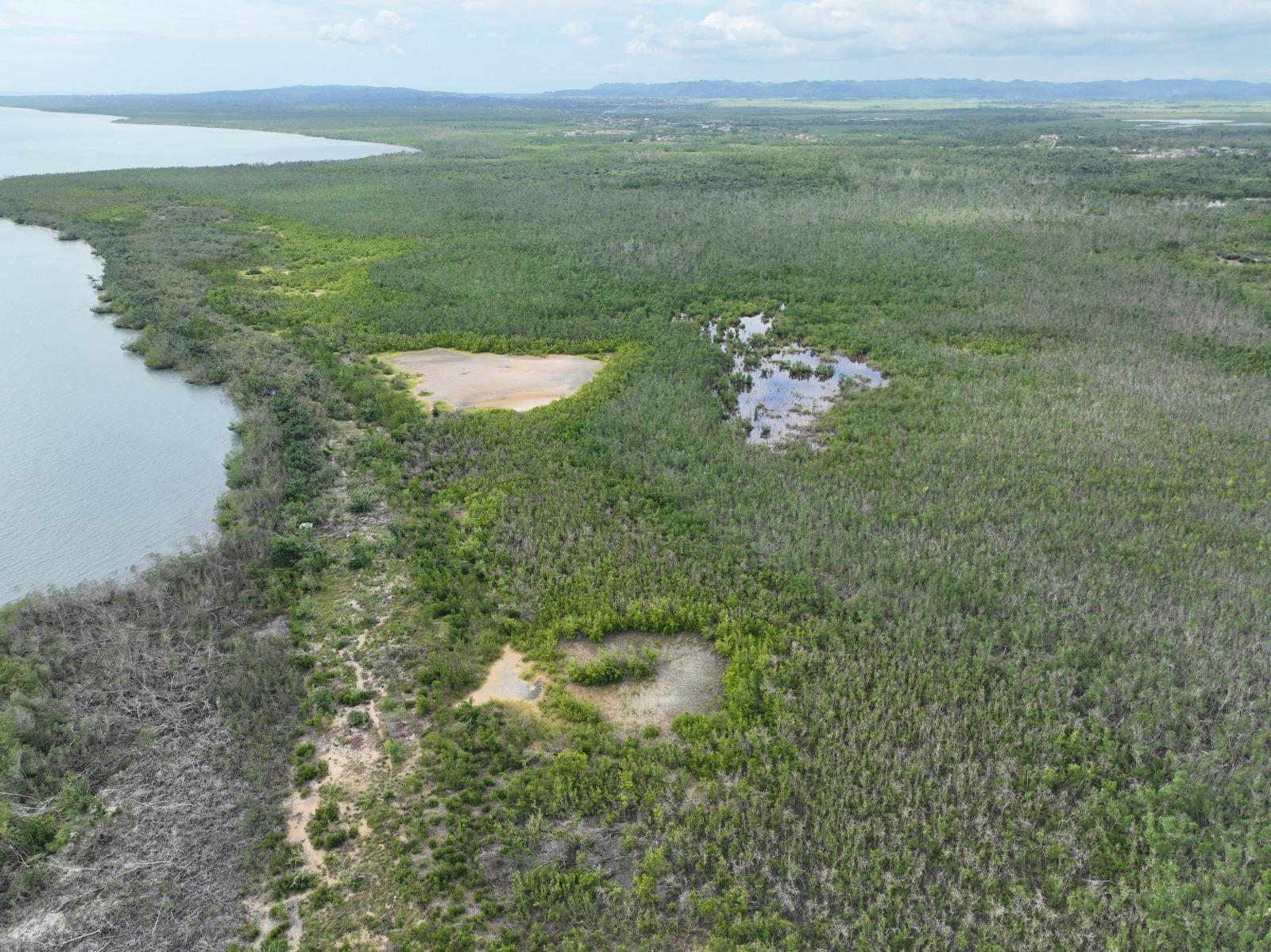 First image of Louisianna Westmoreland in SAVANNA LA MAR, Westmoreland, Jamaica - property is For Sale