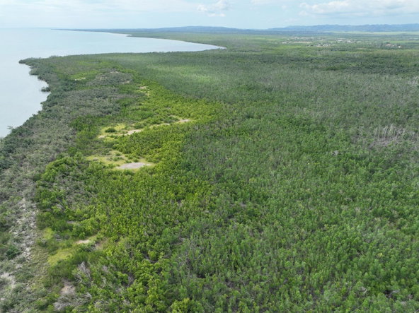 Third image of Louisianna Westmoreland in SAVANNA LA MAR, Westmoreland, Jamaica - property is For Sale