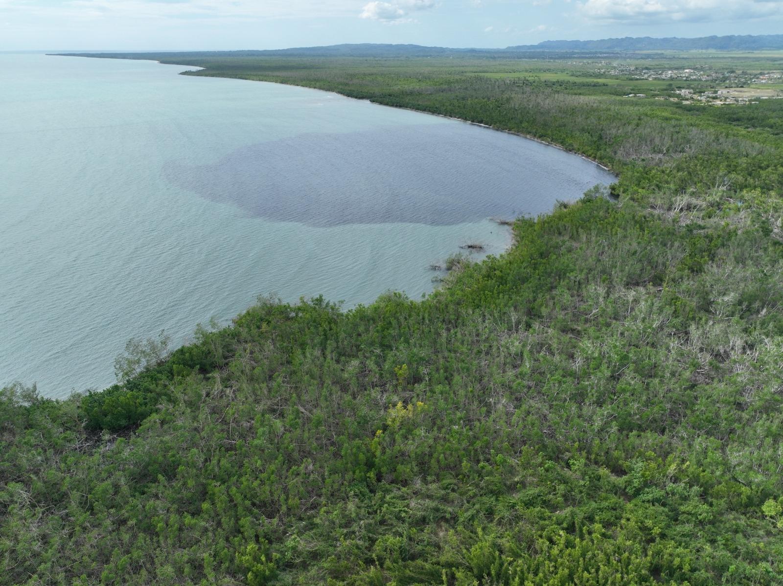 Fourth image of Louisianna Westmoreland in SAVANNA LA MAR, Westmoreland, Jamaica - property is For Sale