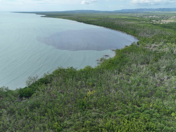 Fourth image of Louisianna Westmoreland in SAVANNA LA MAR, Westmoreland, Jamaica - property is For Sale
