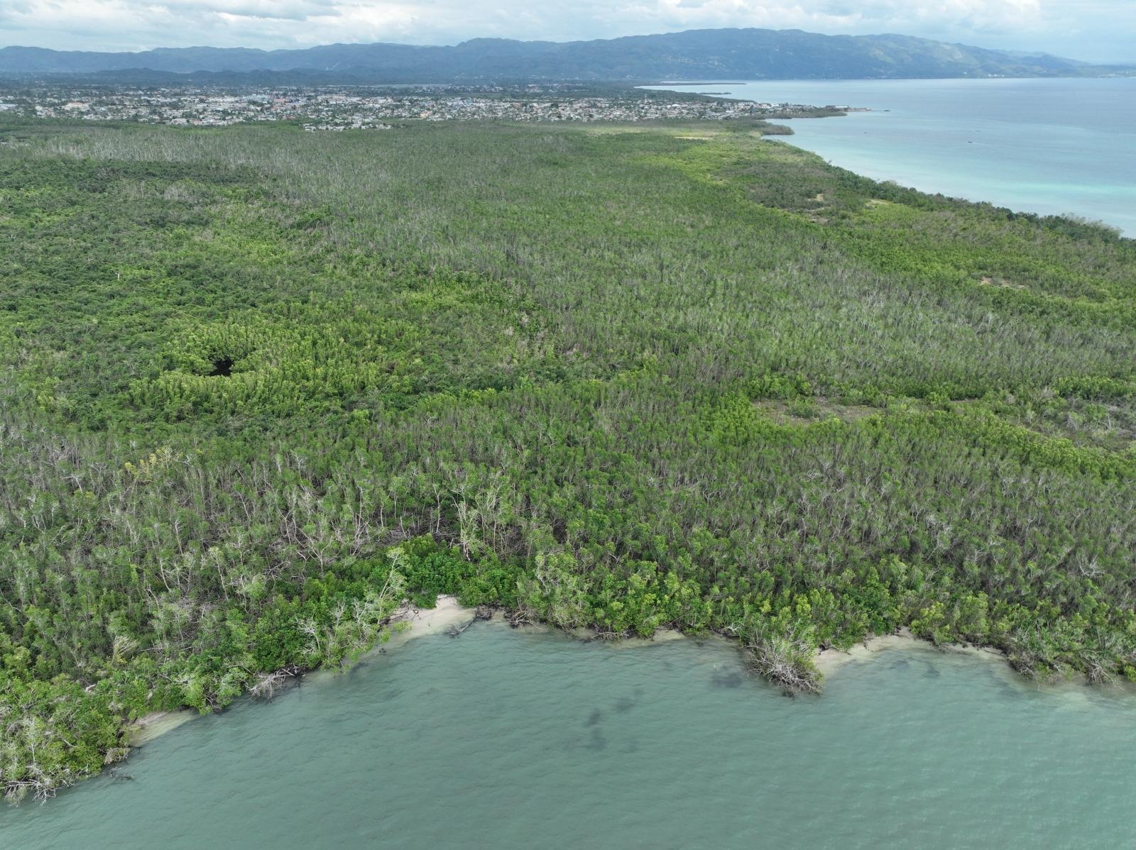 Fifth image of Louisianna Westmoreland in SAVANNA LA MAR, Westmoreland, Jamaica - property is For Sale