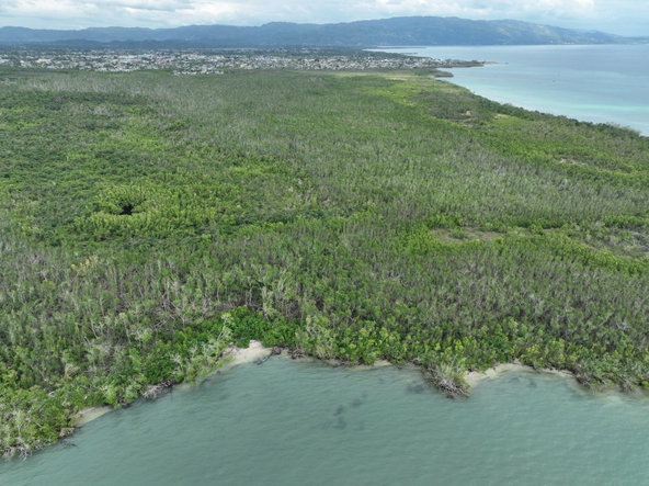 Fifth image of Louisianna Westmoreland in SAVANNA LA MAR, Westmoreland, Jamaica - property is For Sale