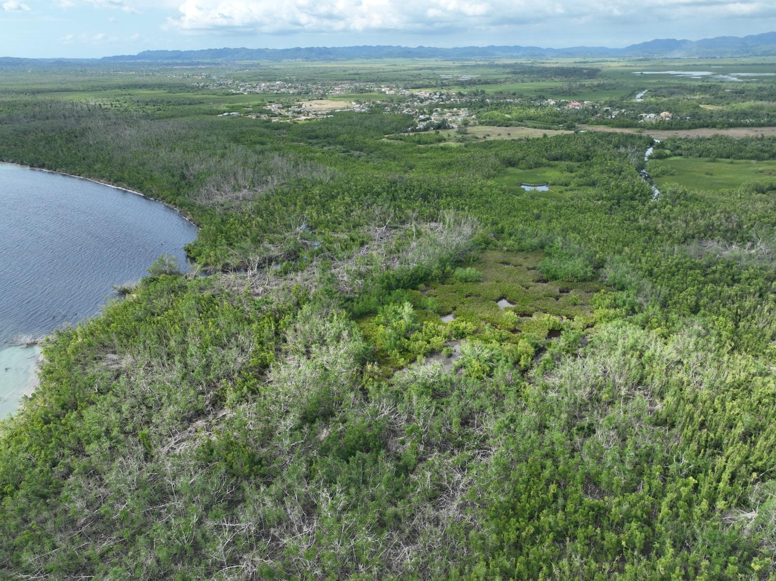 Seventh image of Louisianna Westmoreland in SAVANNA LA MAR, Westmoreland, Jamaica - property is For Sale