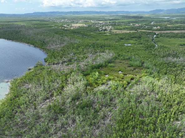 Seventh image of Louisianna Westmoreland in SAVANNA LA MAR, Westmoreland, Jamaica - property is For Sale