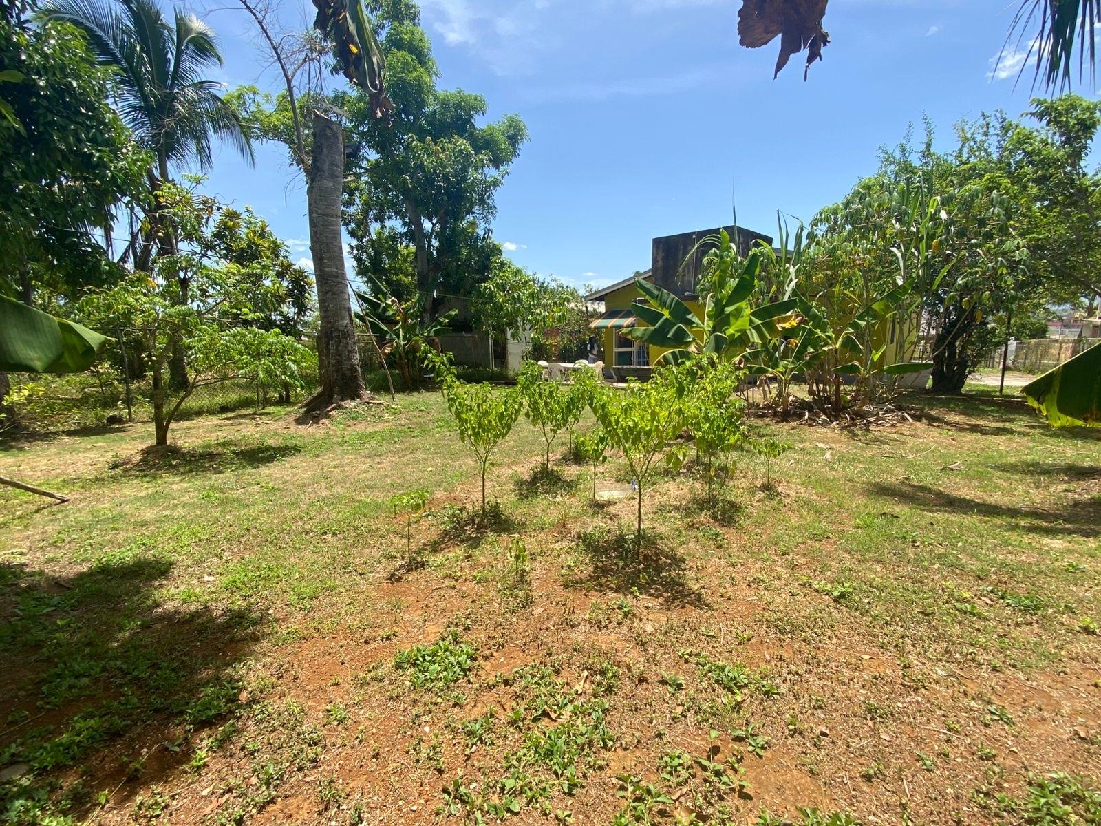 Second image of Lot 2- Retirement rd in Santa Cruz, St. Elizabeth, Jamaica - property is For Sale