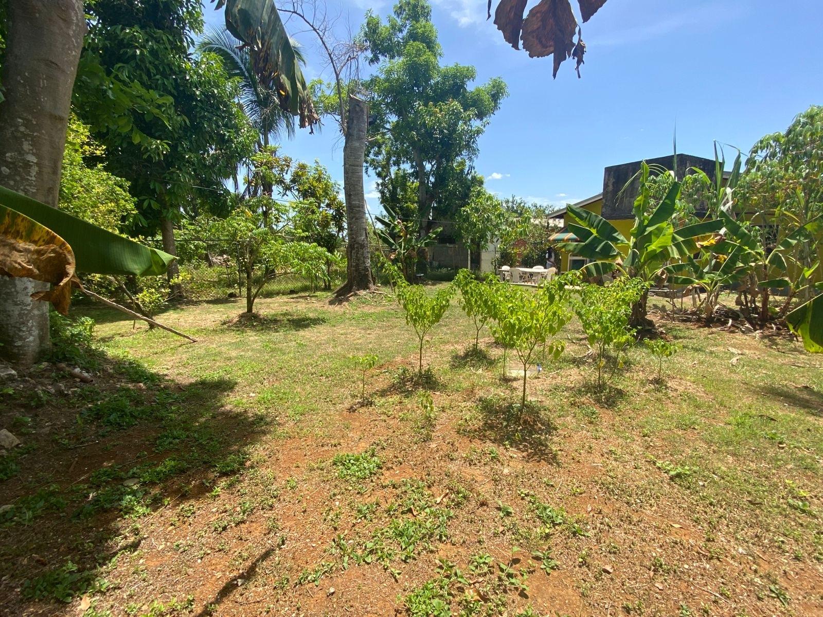 Fifth image of Lot 2- Retirement rd in Santa Cruz, St. Elizabeth, Jamaica - property is For Sale