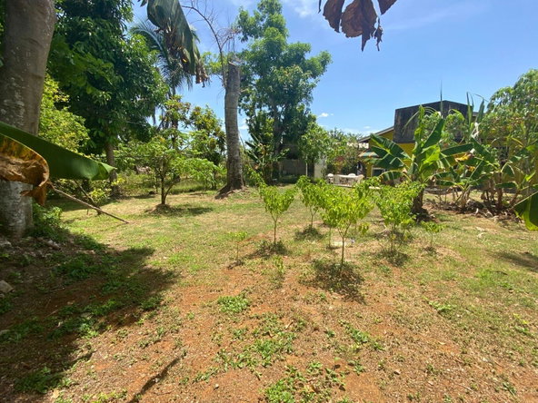 Fifth image of Lot 2- Retirement rd in Santa Cruz, St. Elizabeth, Jamaica - property is For Sale