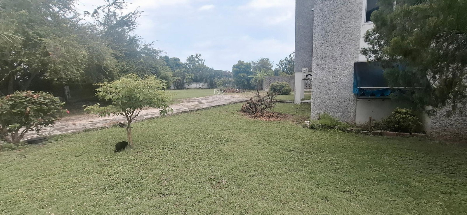Tenth image of 3a-142 1/2 Constant Spring Rd. in Kingston 8, St. Andrew, Jamaica - property is For Sale