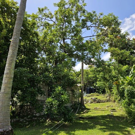 Eleventh image of Lot 33 Ocean Boulevard, Whitehal in White Hall, Portland, Jamaica - property is For Sale