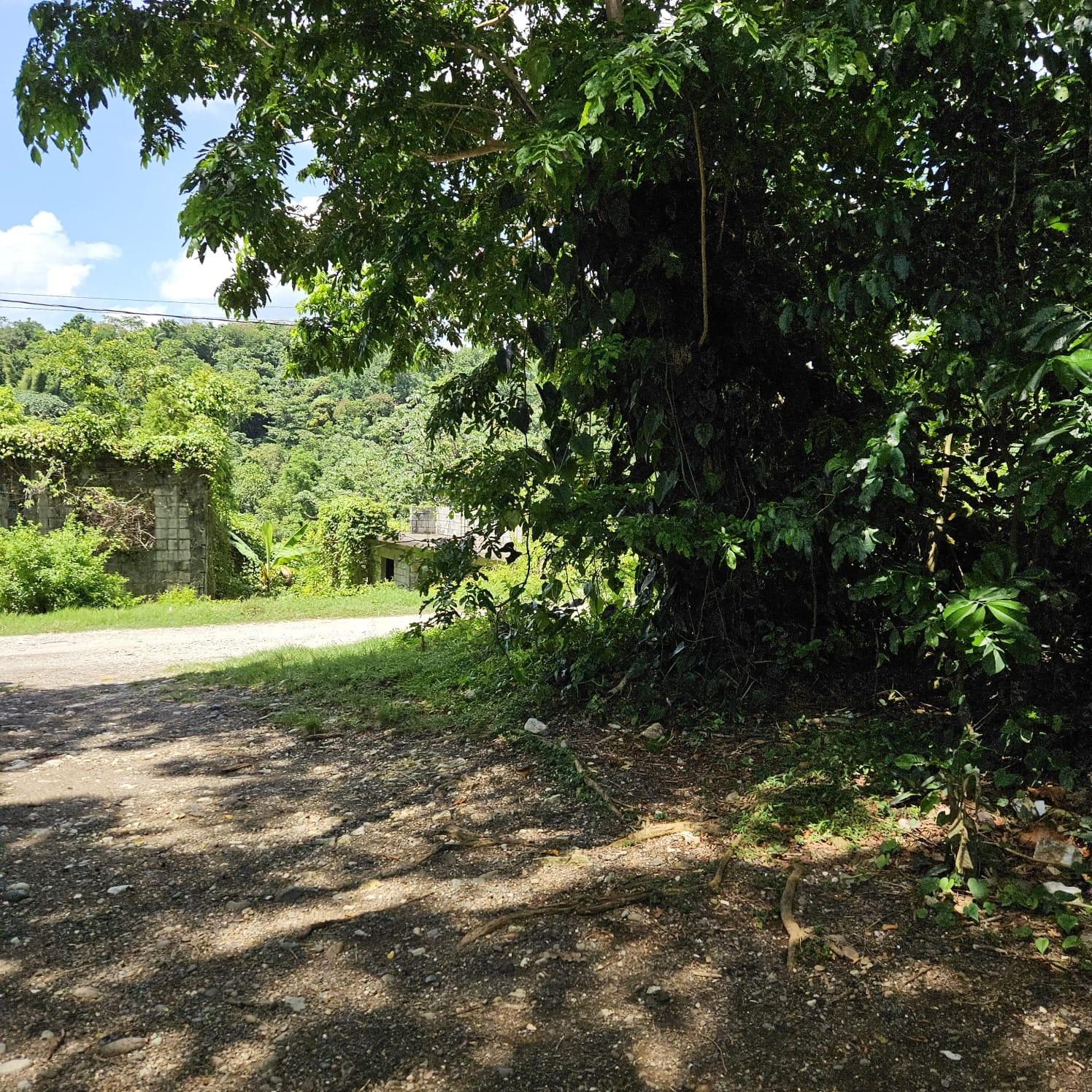 Nineteenth image of Lot 33 Ocean Boulevard, Whitehal in White Hall, Portland, Jamaica - property is For Sale