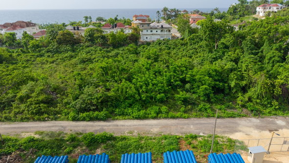 Eighth image of 6 Pedro Pen Part of Bull ba in Lucea, Hanover, Jamaica - property is For Sale