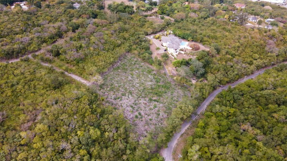 Fourth image of Highlands Spring Farm in Half Moon, St. James, Jamaica - property is For Sale