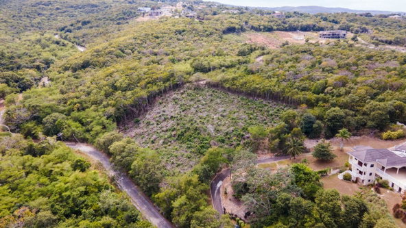 Fifth image of Highlands Spring Farm in Half Moon, St. James, Jamaica - property is For Sale