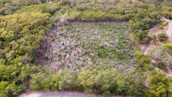 Seventh image of Highlands Spring Farm in Half Moon, St. James, Jamaica - property is For Sale