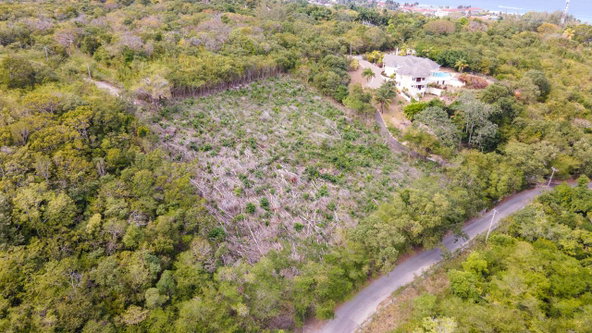 Eighth image of Highlands Spring Farm in Half Moon, St. James, Jamaica - property is For Sale