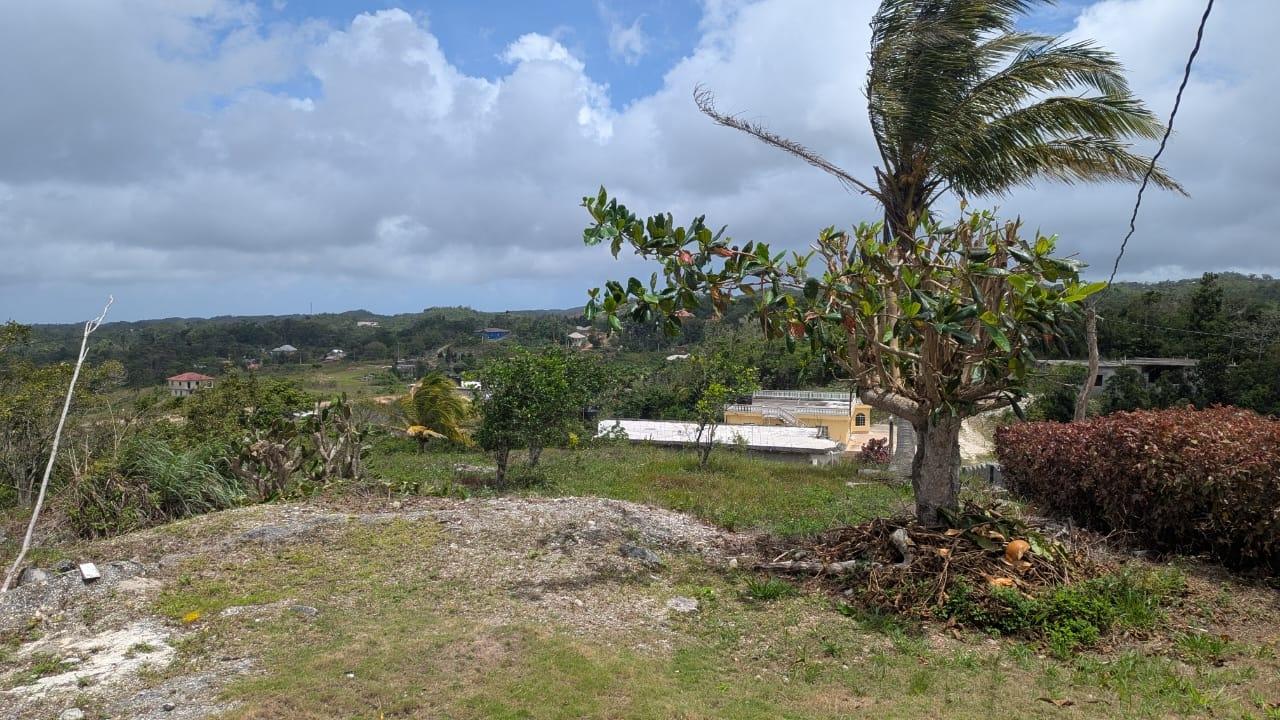 Seventeenth image of Found Out, Heathfield, ne in Newport, Manchester, Jamaica - property is For Sale