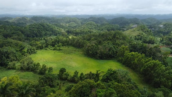 Tenth image of Chippenham Park, Bamboo, in Bamboo, St. Ann, Jamaica - property is For Sale