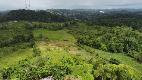 Twelfth image of Chippenham Park, Bamboo, in Bamboo, St. Ann, Jamaica - property is For Sale