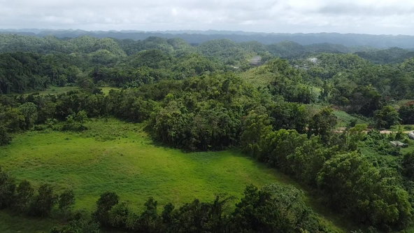 Fourth image of Chippenham Park, Bamboo, in Bamboo, St. Ann, Jamaica - property is For Sale