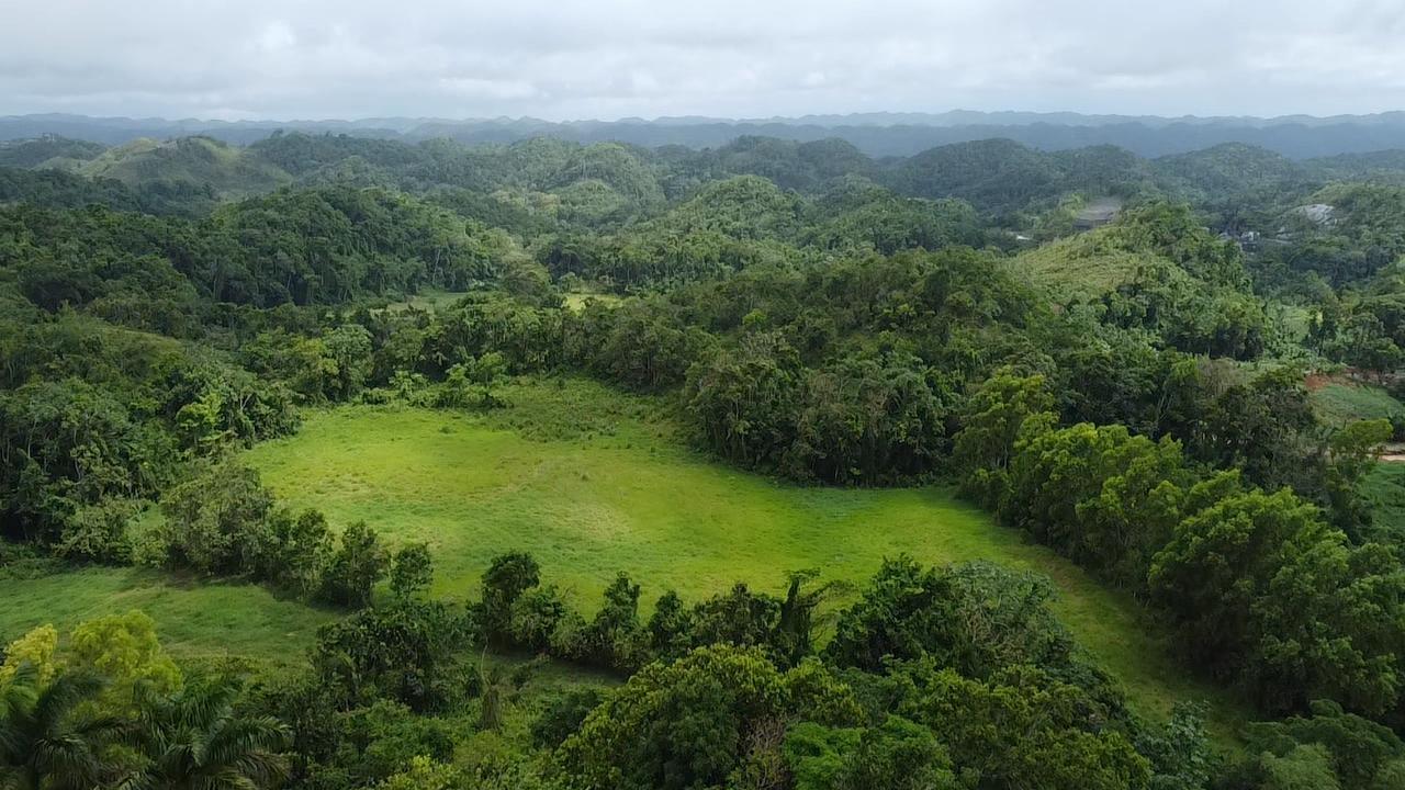Tenth image of Chippenham Park, Bamboo, in Bamboo, St. Ann, Jamaica - property is For Sale
