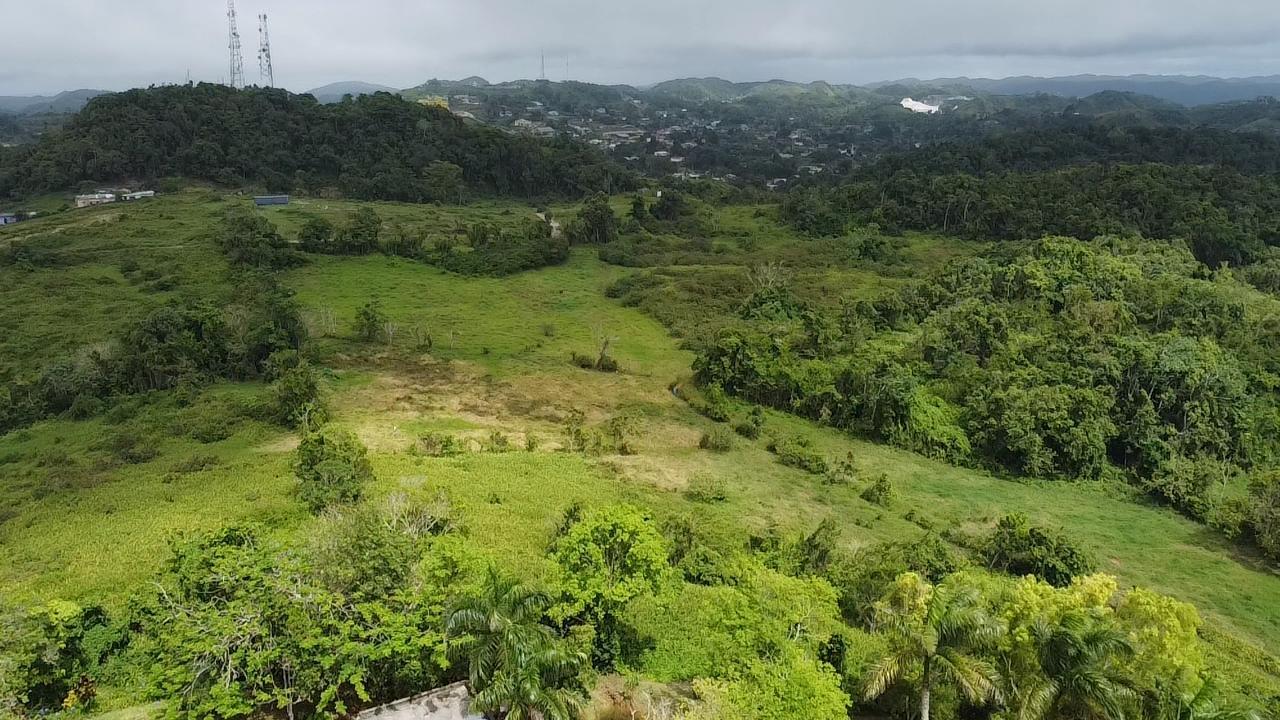 Twelfth image of Chippenham Park, Bamboo, in Bamboo, St. Ann, Jamaica - property is For Sale