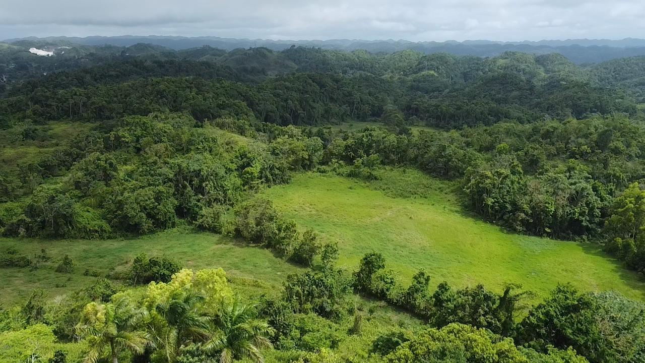 Thirteenth image of Chippenham Park, Bamboo, in Bamboo, St. Ann, Jamaica - property is For Sale