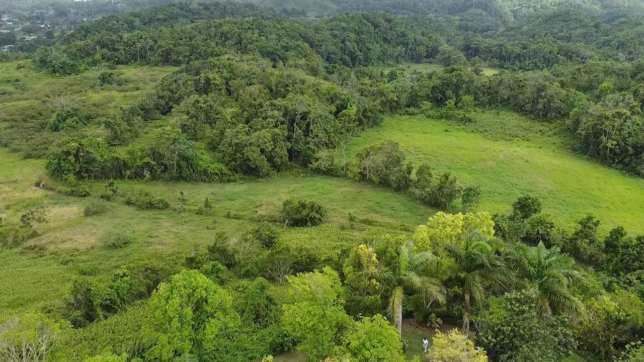 Fourteenth image of Chippenham Park, Bamboo, in Bamboo, St. Ann, Jamaica - property is For Sale