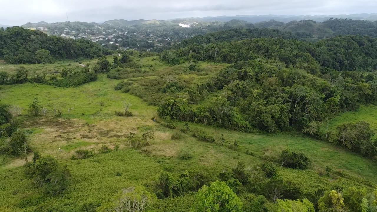 Fifteenth image of Chippenham Park, Bamboo, in Bamboo, St. Ann, Jamaica - property is For Sale