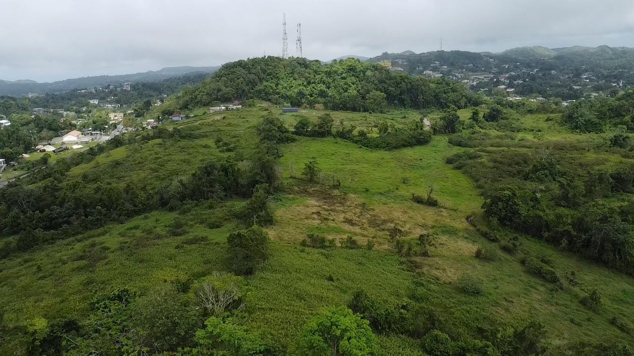 Sixteenth image of Chippenham Park, Bamboo, in Bamboo, St. Ann, Jamaica - property is For Sale