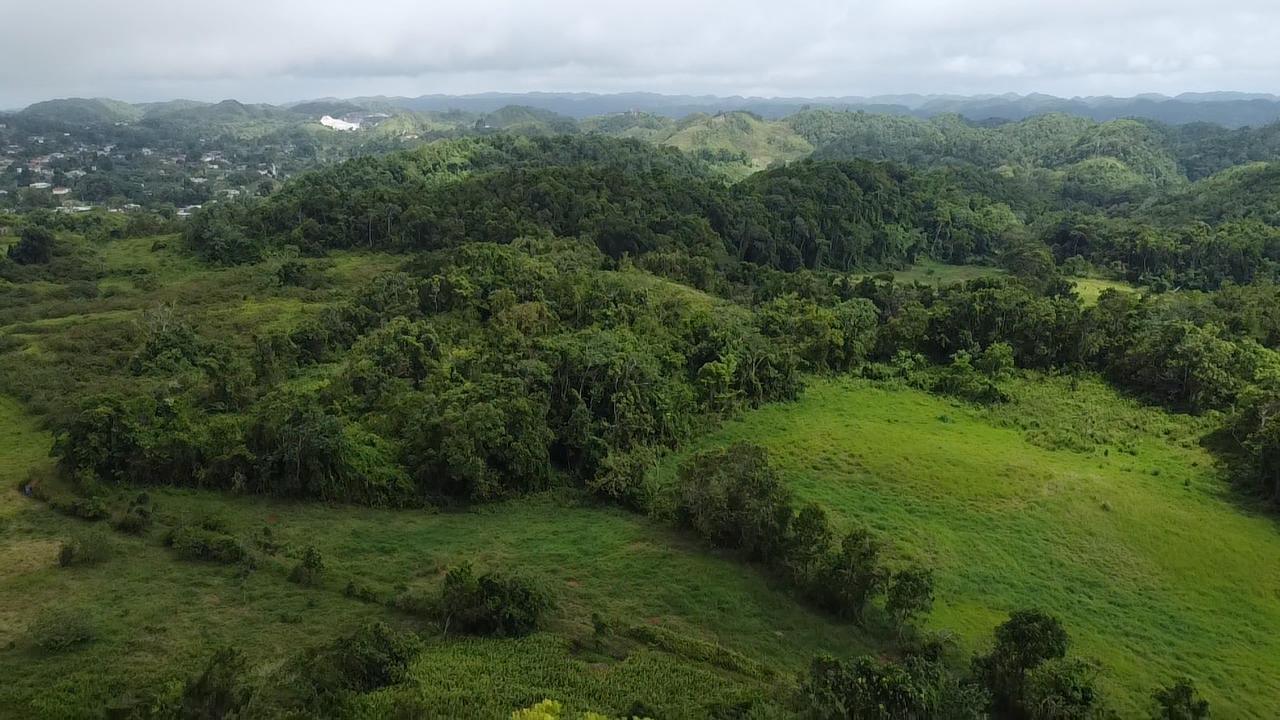 Third image of Chippenham Park, Bamboo, in Bamboo, St. Ann, Jamaica - property is For Sale