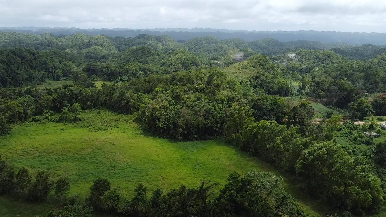 Fourth image of Chippenham Park, Bamboo, in Bamboo, St. Ann, Jamaica - property is For Sale