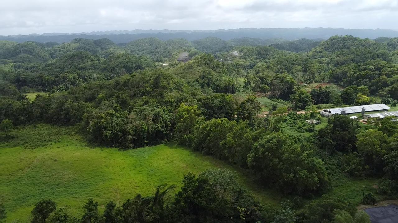 Fifth image of Chippenham Park, Bamboo, in Bamboo, St. Ann, Jamaica - property is For Sale