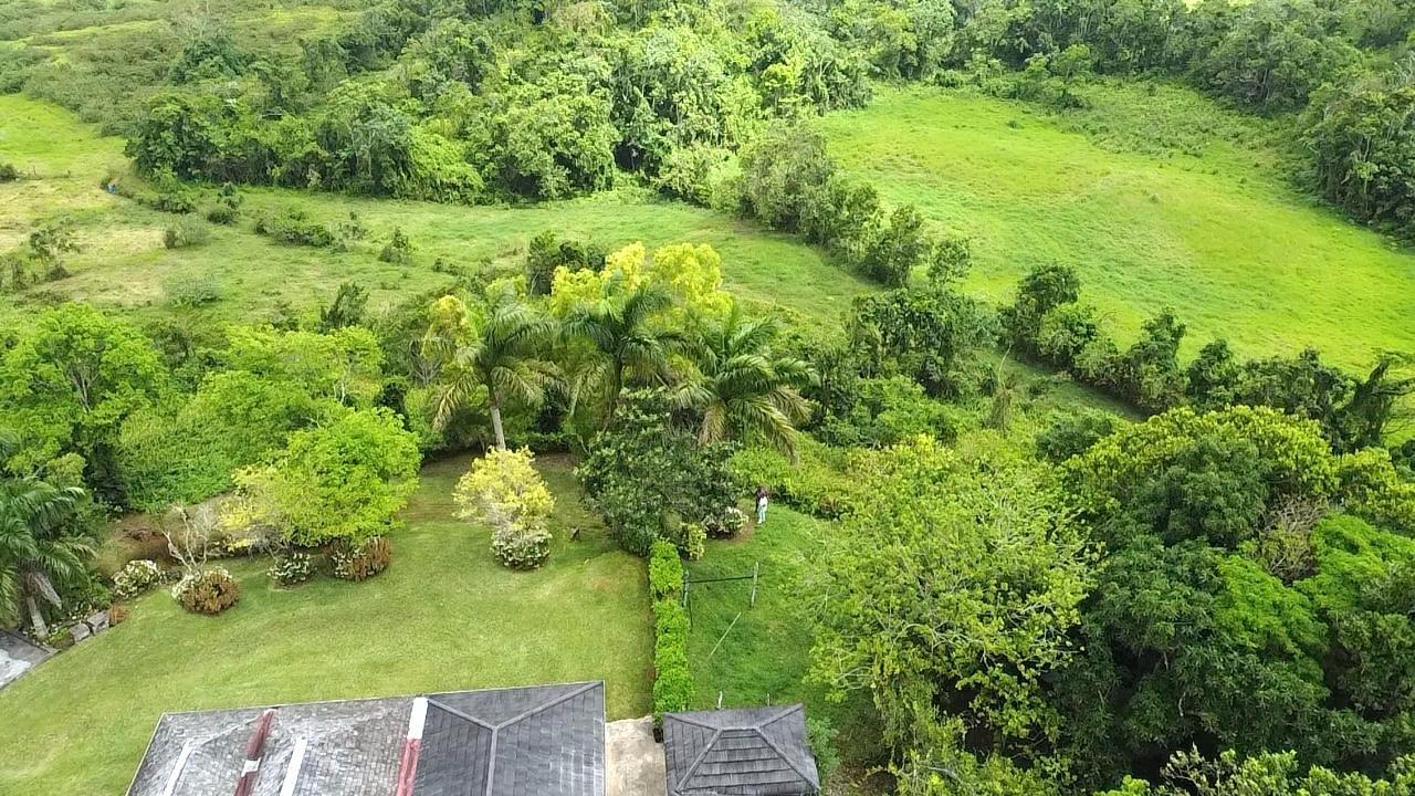 Eighth image of Chippenham Park, Bamboo, in Bamboo, St. Ann, Jamaica - property is For Sale