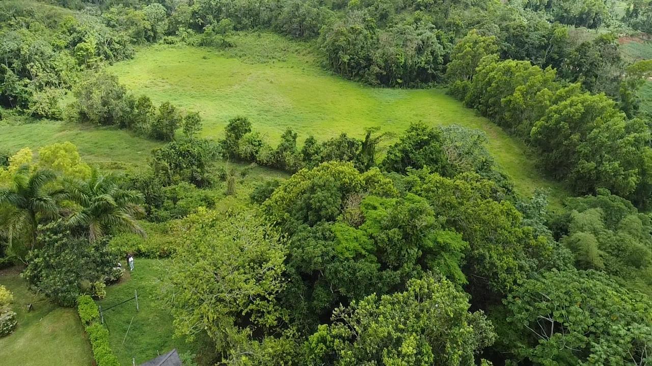 Ninth image of Chippenham Park, Bamboo, in Bamboo, St. Ann, Jamaica - property is For Sale