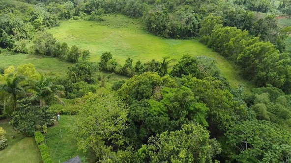 Ninth image of Chippenham Park, Bamboo, in Bamboo, St. Ann, Jamaica - property is For Sale