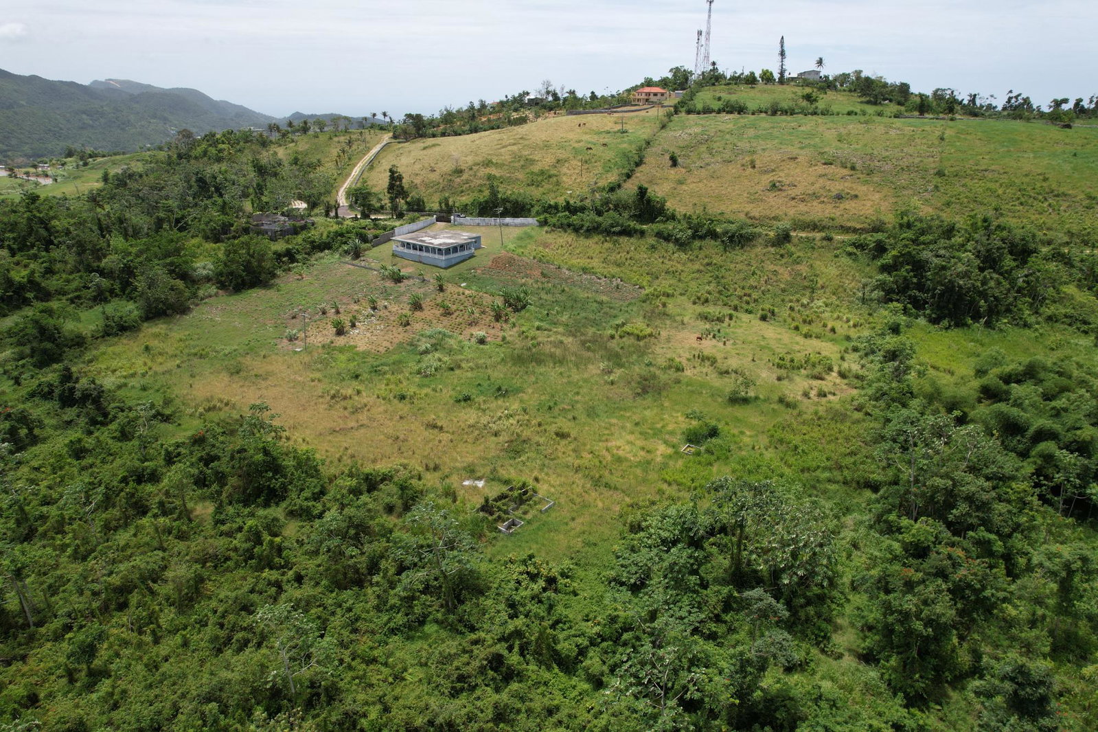 Third image of Lot 4- Golden Spring Estate in Golden Spring, St. Ann, Jamaica - property is For Sale