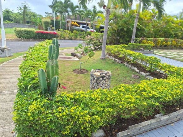 Nineteenth image of 461 Cool Shade in Richmond, St. Ann, Jamaica - property is For Rent
