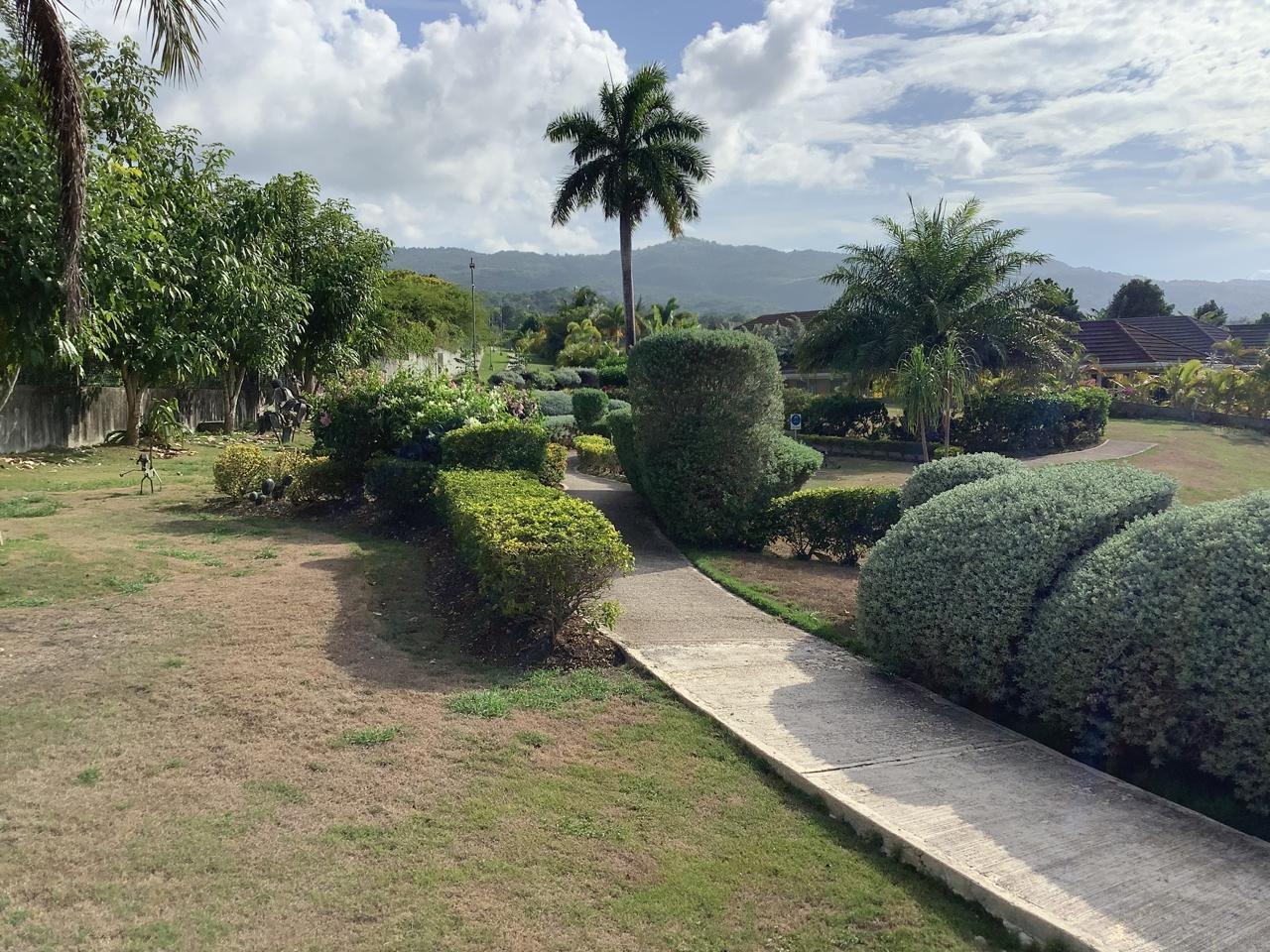 Twenty-Third image of 461 Cool Shade in Richmond, St. Ann, Jamaica - property is For Rent