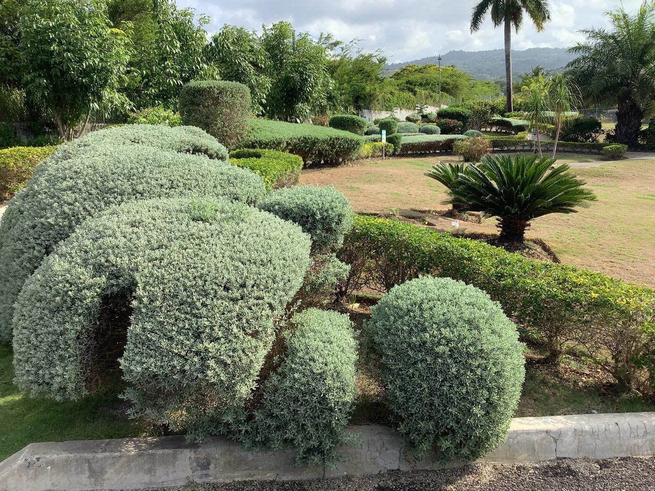 Twenty-Fourth image of 461 Cool Shade in Richmond, St. Ann, Jamaica - property is For Rent