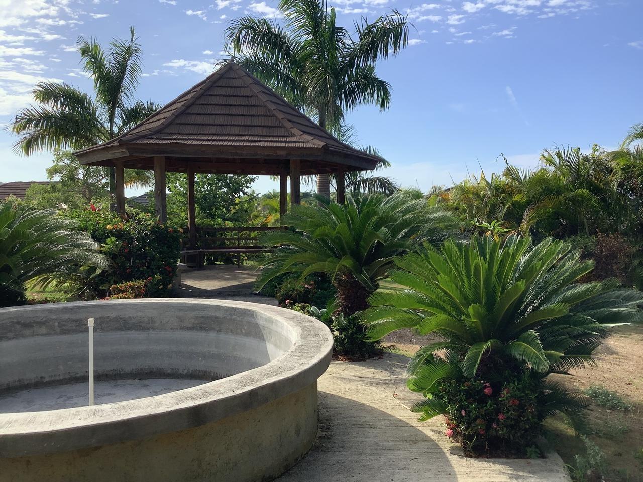 Twenty-Eighth image of 461 Cool Shade in Richmond, St. Ann, Jamaica - property is For Rent
