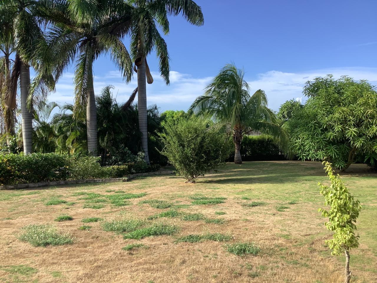 Twenty-Ninth image of 461 Cool Shade in Richmond, St. Ann, Jamaica - property is For Rent