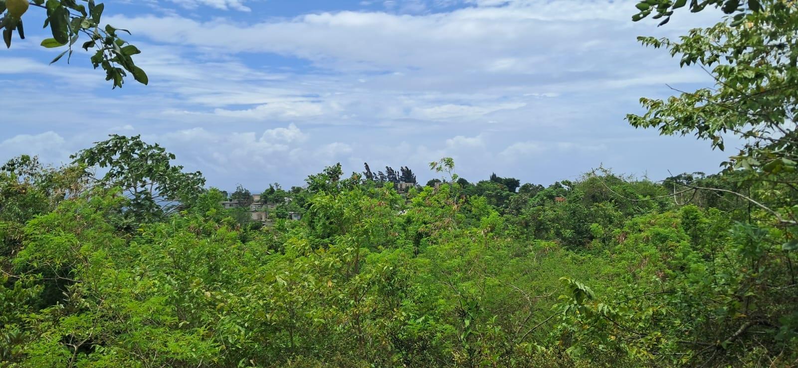 First image of 38 Huddersfield, St. Mary in Huddersfield Estates, St. Mary, Jamaica - property is For Sale