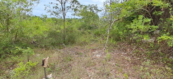 Tenth image of 38 Huddersfield, St. Mary in Huddersfield Estates, St. Mary, Jamaica - property is For Sale