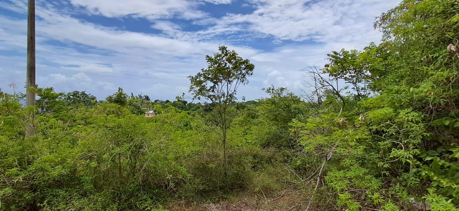 Twelfth image of 38 Huddersfield, St. Mary in Huddersfield Estates, St. Mary, Jamaica - property is For Sale