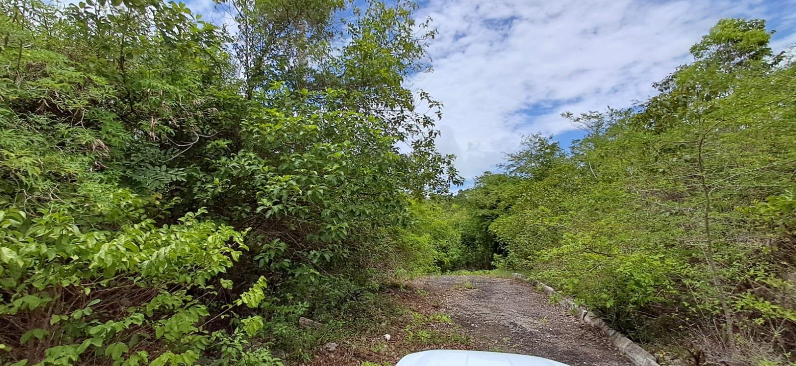 Thirteenth image of 38 Huddersfield, St. Mary in Huddersfield Estates, St. Mary, Jamaica - property is For Sale