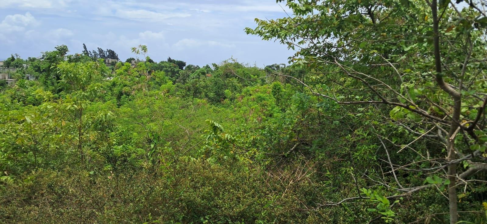 Second image of 38 Huddersfield, St. Mary in Huddersfield Estates, St. Mary, Jamaica - property is For Sale
