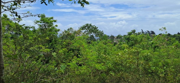 Third image of 38 Huddersfield, St. Mary in Huddersfield Estates, St. Mary, Jamaica - property is For Sale