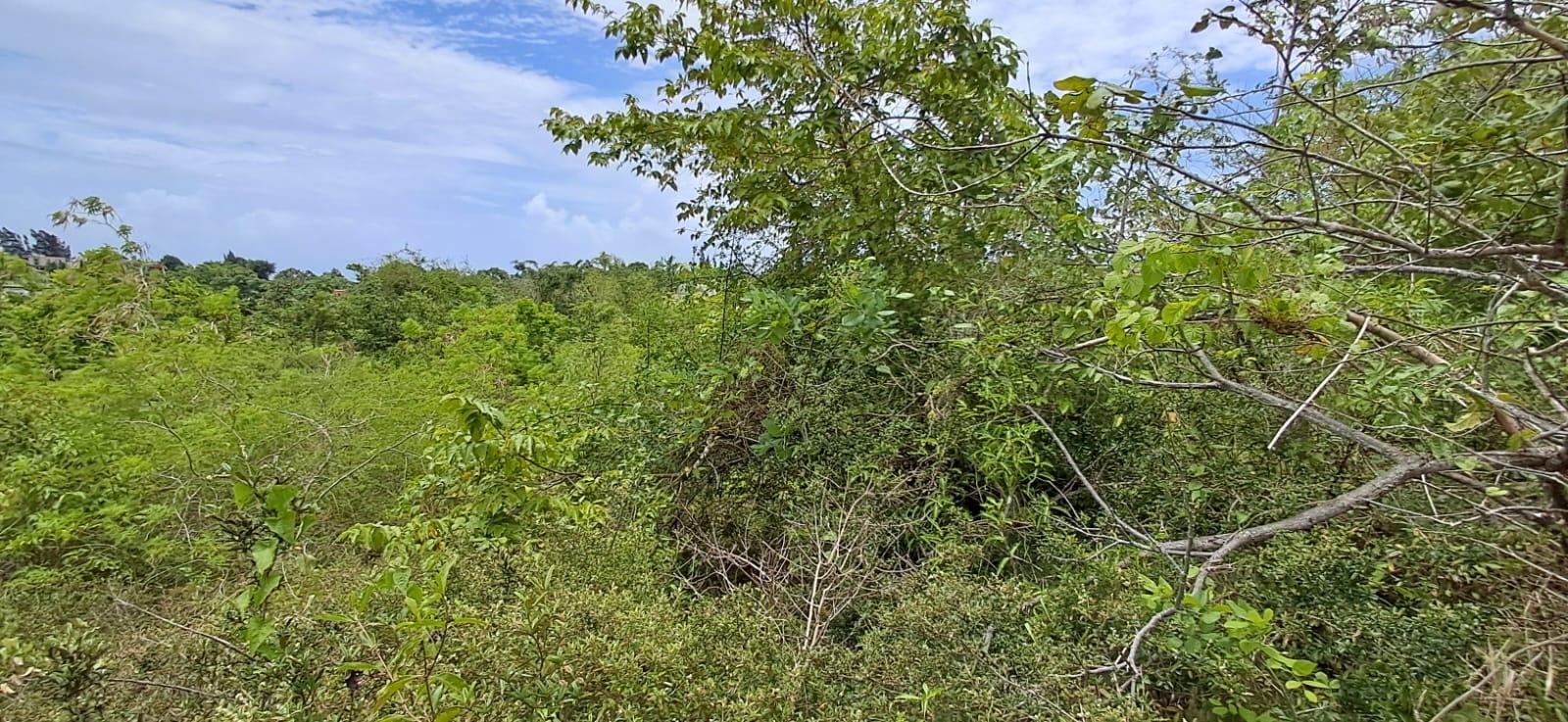 Fifth image of 38 Huddersfield, St. Mary in Huddersfield Estates, St. Mary, Jamaica - property is For Sale