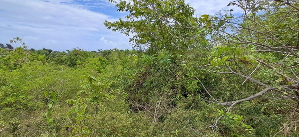 Fifth image of 38 Huddersfield, St. Mary in Huddersfield Estates, St. Mary, Jamaica - property is For Sale