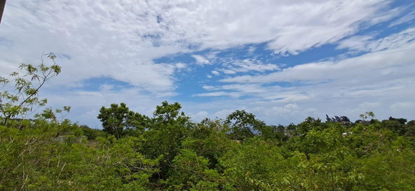 Sixth image of 38 Huddersfield, St. Mary in Huddersfield Estates, St. Mary, Jamaica - property is For Sale